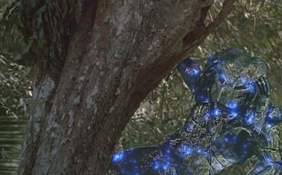 predator-invisibility