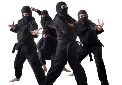 ninja.jpg