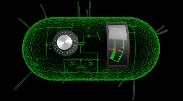 biological-analog-computers-in-cells-640x353