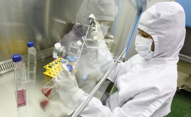 urine_stemcells_teeth