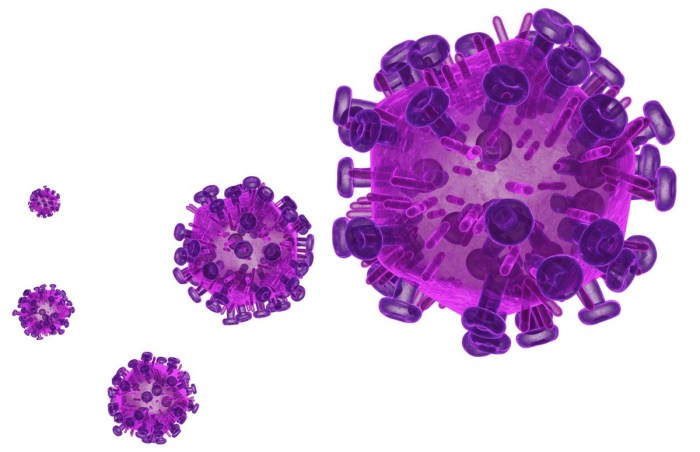 HIV_virus