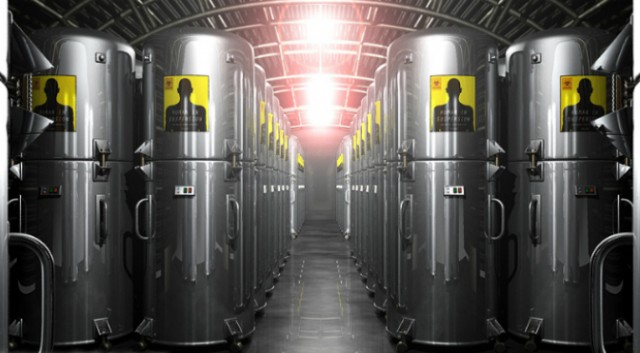 calico-header-640x353