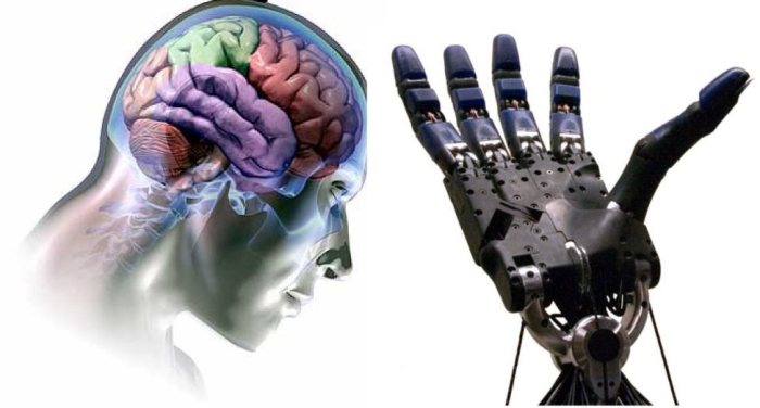 brain-computer-interface