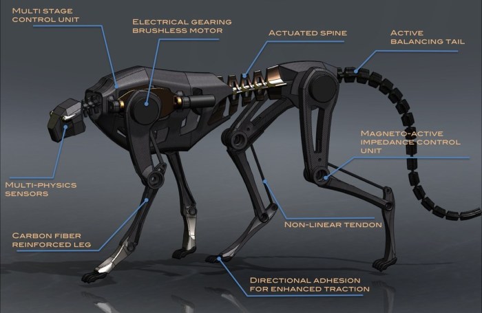 Cheetah-robot