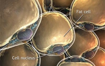 ?????????????????????????????????????????????????????????????????????????????????????????????????????????????????????????????????????????????????????????????