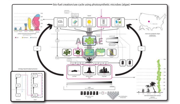 David-Benjamin-and-the-future-of-architecture-01