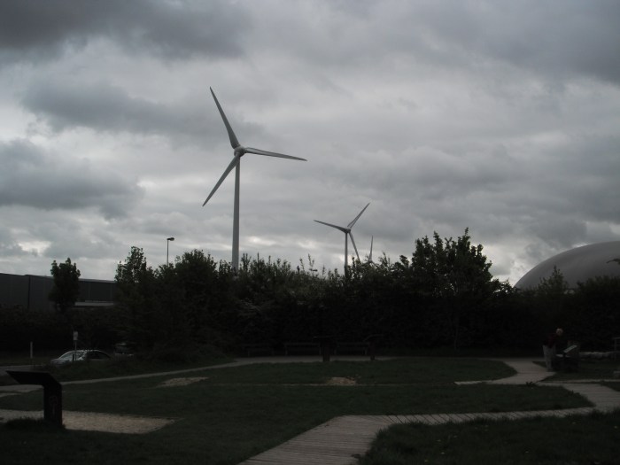 French windmills, by Carla Jack