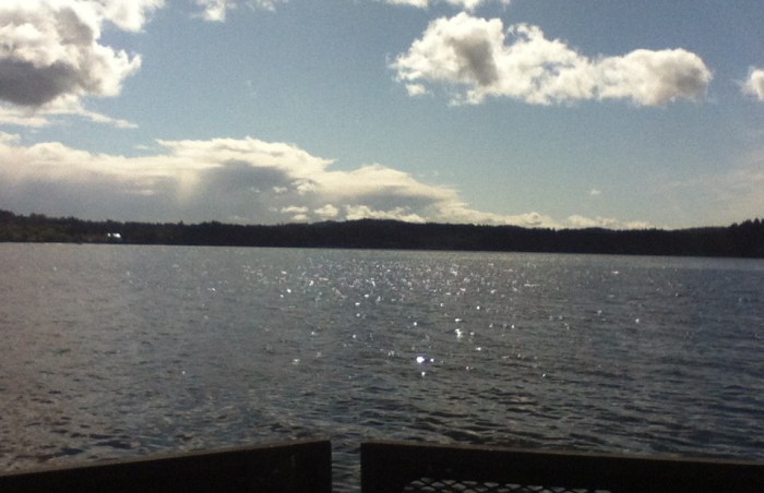 The view from the Mill Bay Ferry, taking us home to Brentwood Bay!