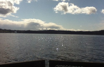 The view from the Mill Bay Ferry, taking us home to Brentwood Bay!