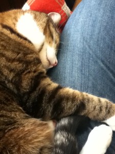 The Boy, SO happy to see us!