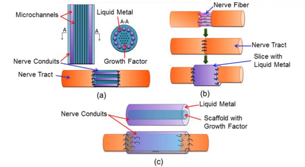 Liquid metal nerves