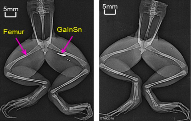 liquid metal nerves_1