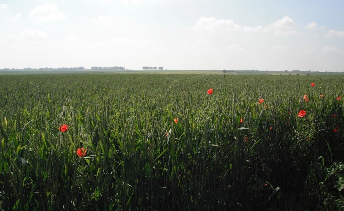 Back from Europe – Eurotrip&nbsp;2016!